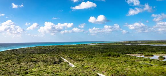 Caraibes 3