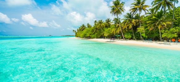 croisiere antilles