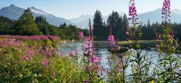 croisière Alaska