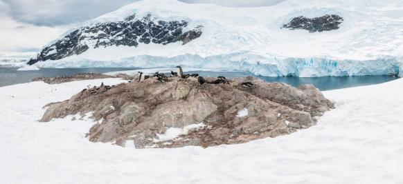 croisière de luxe en Antarctique