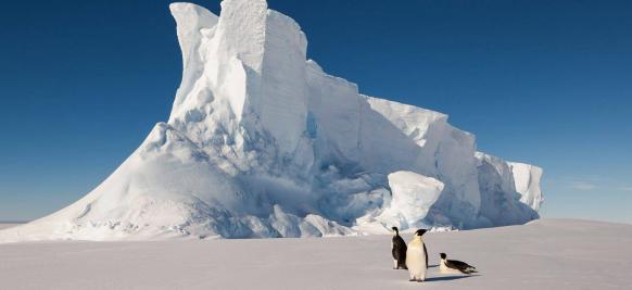 croisière Antarctique