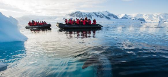 croisière haut de gamme en Antarctique