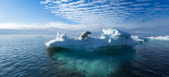croisiere de luxe en arctique