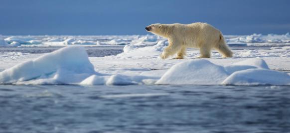croisiere Arctique de luxe