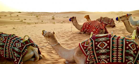 croisière de luxe au moyen orient